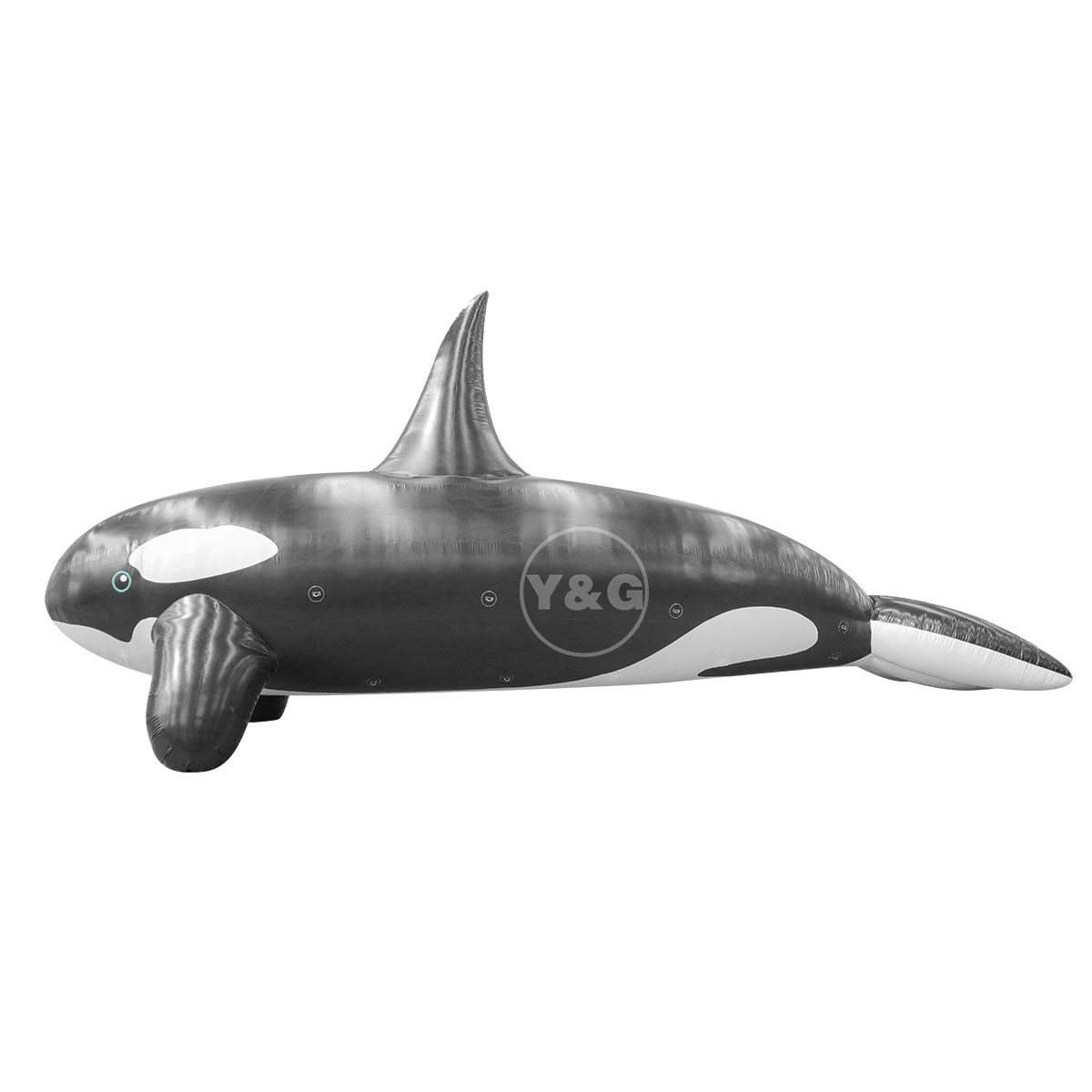 Globo inflable delfín negroGO072