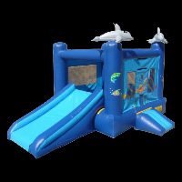 Casa inflable con tobogán y soplador